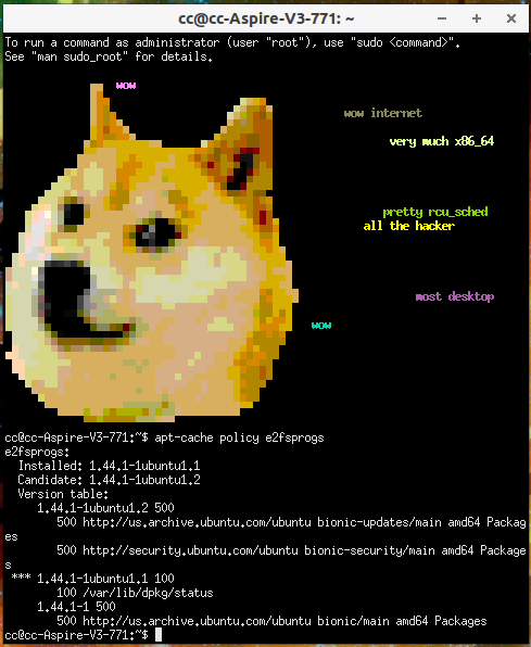 Doge-12-11-19.png